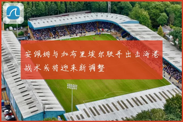 安佩姆与加布里埃尔联手出击海港战术或将迎来新调整